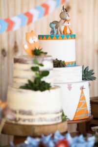 children's party planners
