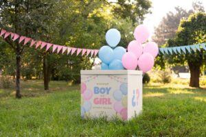 Baby Shower Event Planners