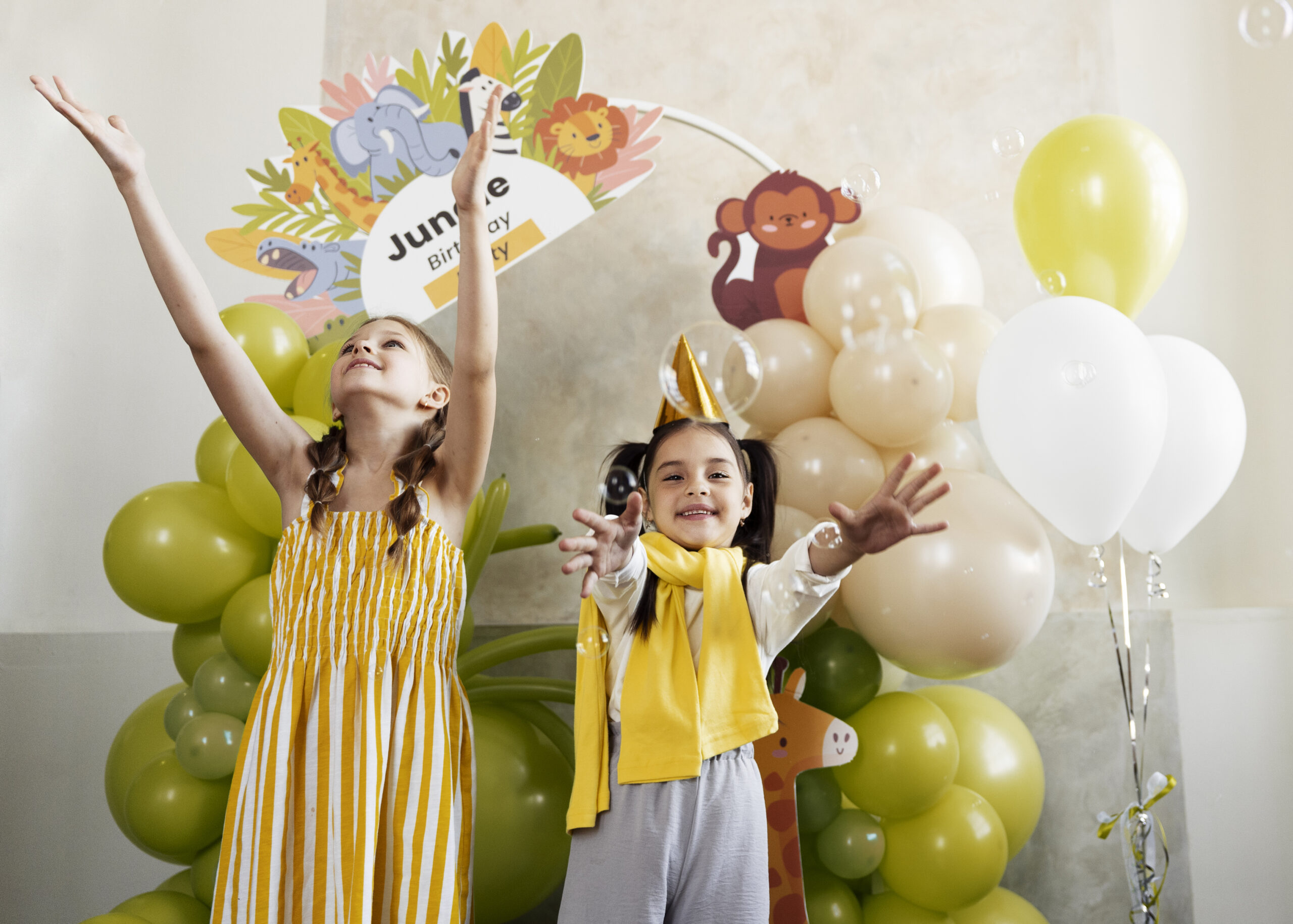 Theme Kids Birthday Party Organizers
