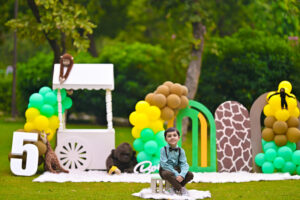 theme kids birthday party organizers